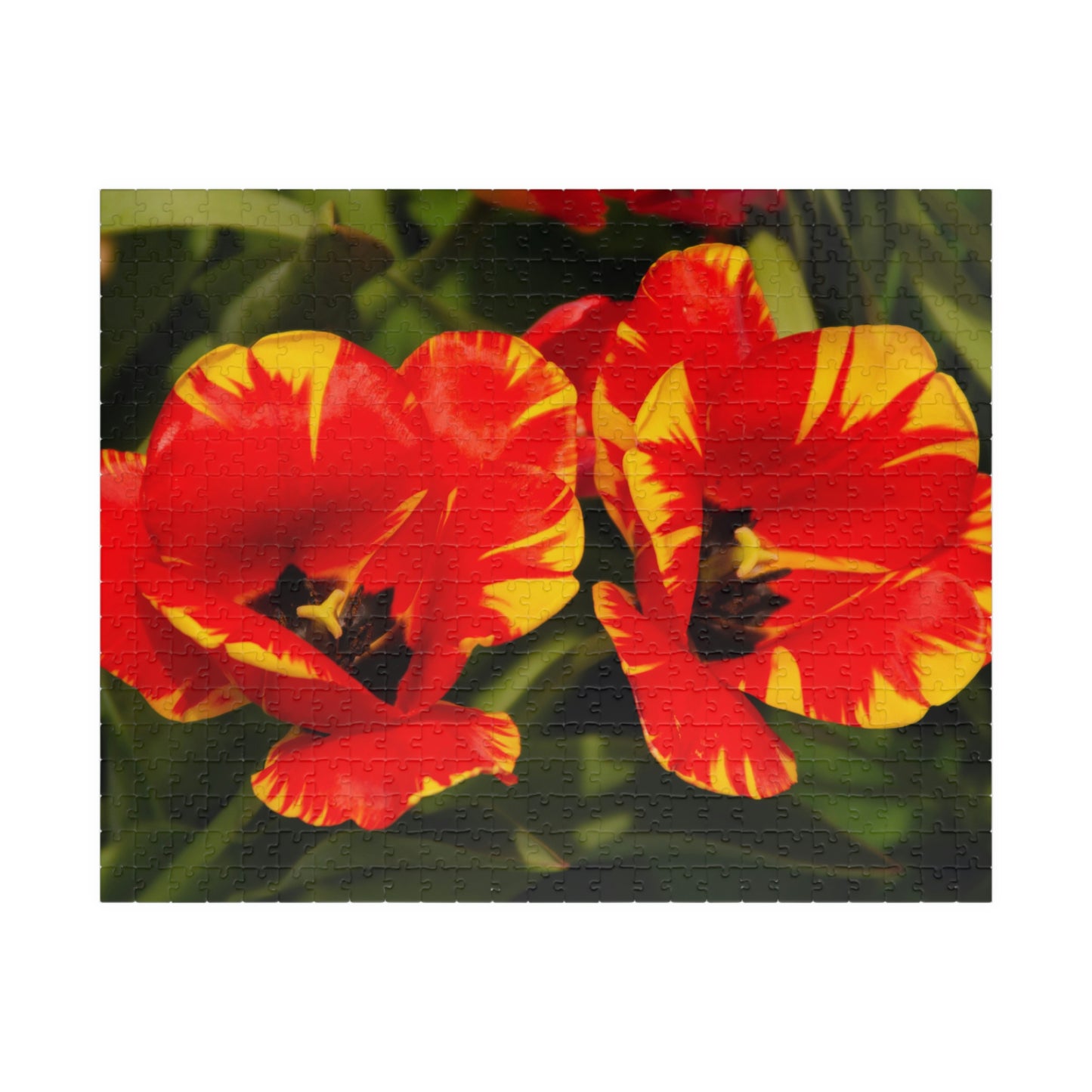 Flowers 12 Puzzle (110, 252, 500, 1014-piece)