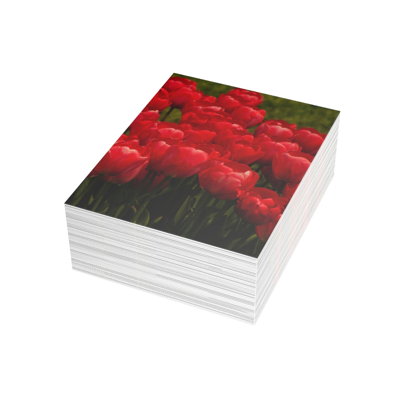 Flowers 22 Greeting Cards (1, 10, 30, and 50pcs)