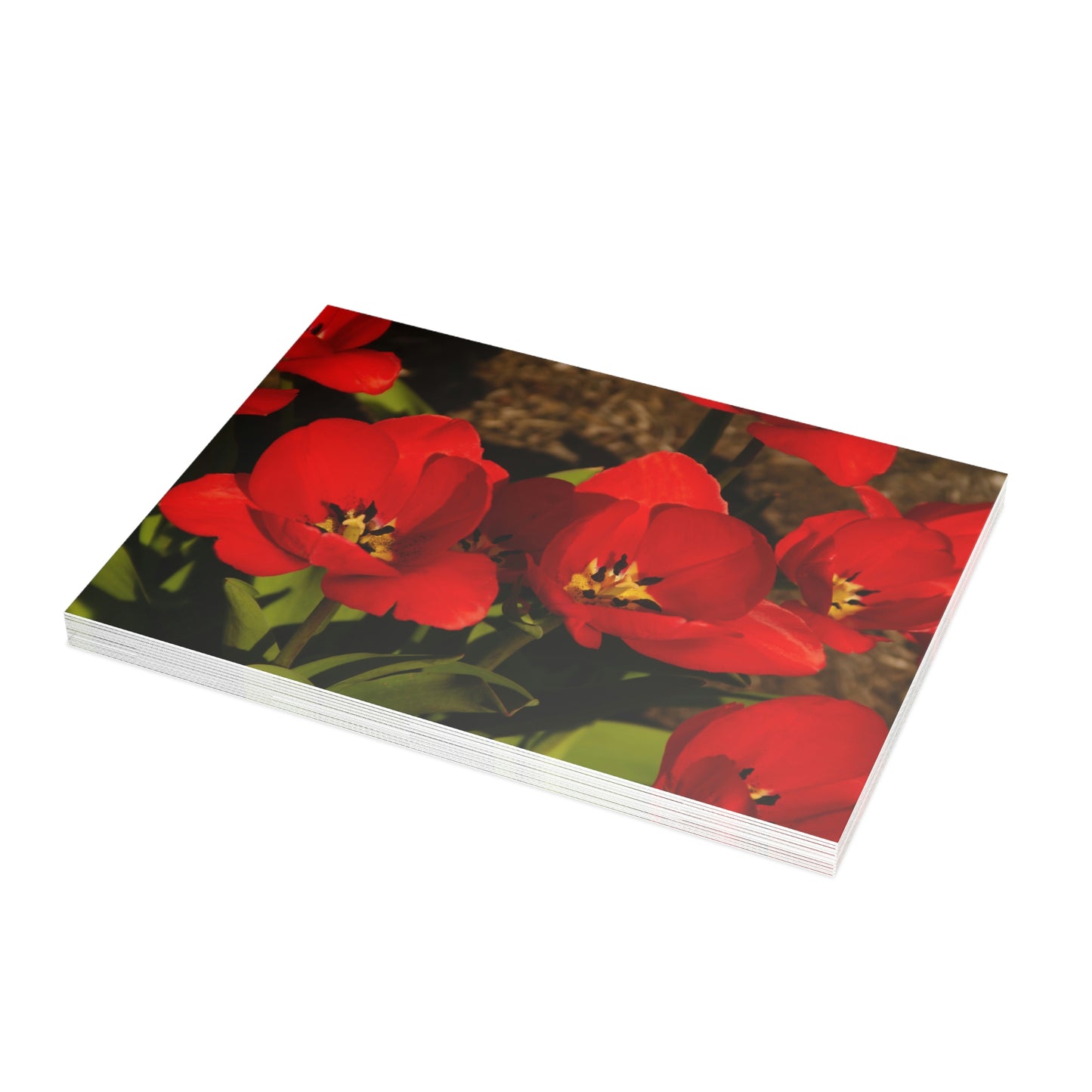 Flowers 05 Greeting Card Bundles (envelopes not included)