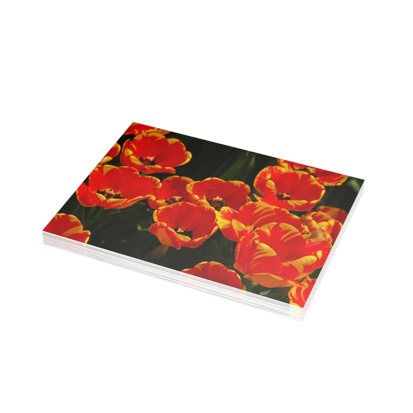 Flowers 20 Greeting Card Bundles (envelopes not included)