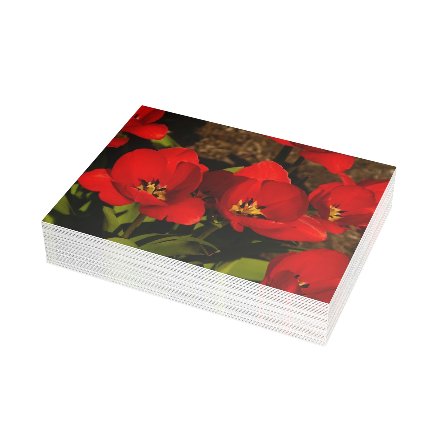 Flowers 05 Greeting Card Bundles (envelopes not included)