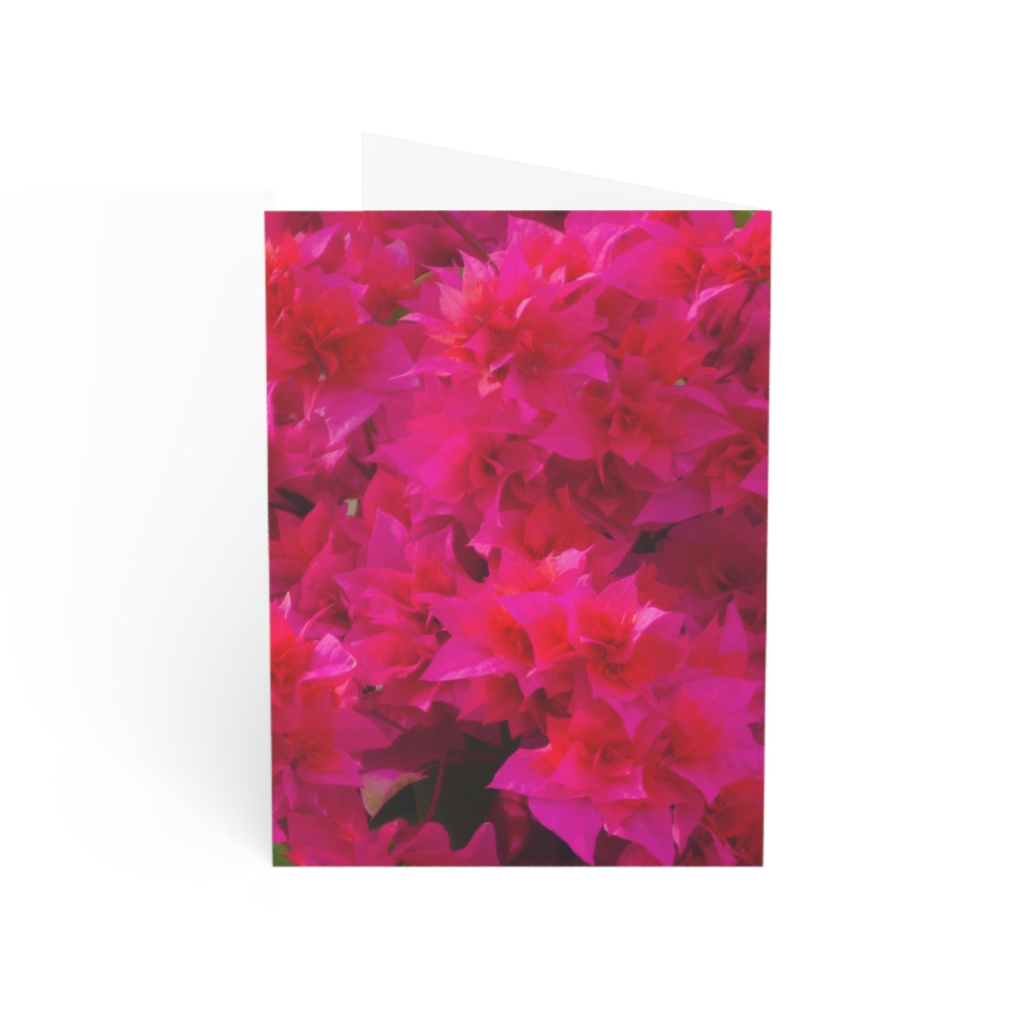 Flowers 27 Greeting Cards (1, 10, 30, and 50pcs)