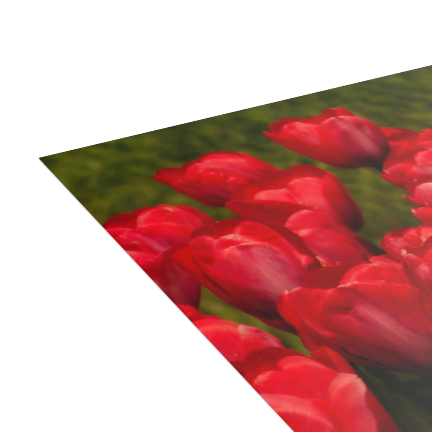 Flowers 22 Greeting Cards (1, 10, 30, and 50pcs)