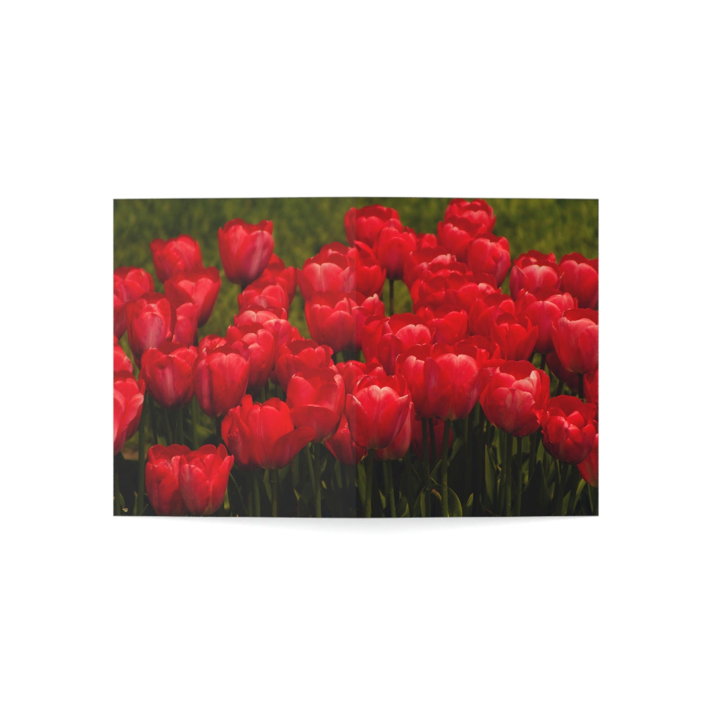 Flowers 22 Greeting Cards (1, 10, 30, and 50pcs)