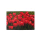 Flowers 22 Greeting Cards (1, 10, 30, and 50pcs)