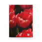 Flowers 08 Hardcover Journal Matte