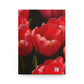 Flowers 09 Hardcover Journal Matte
