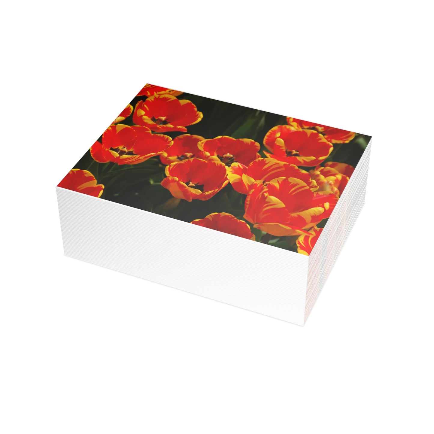 Flowers 20 Greeting Card Bundles (envelopes not included)