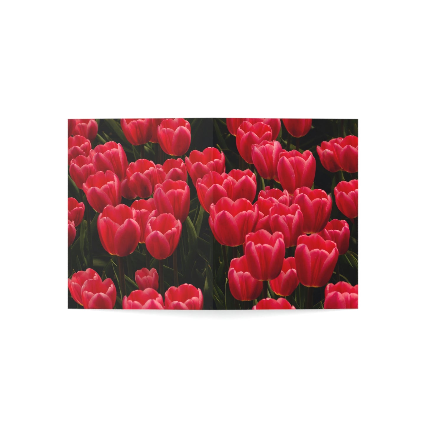 Flowers 24 Greeting Cards (1, 10, 30, and 50pcs)