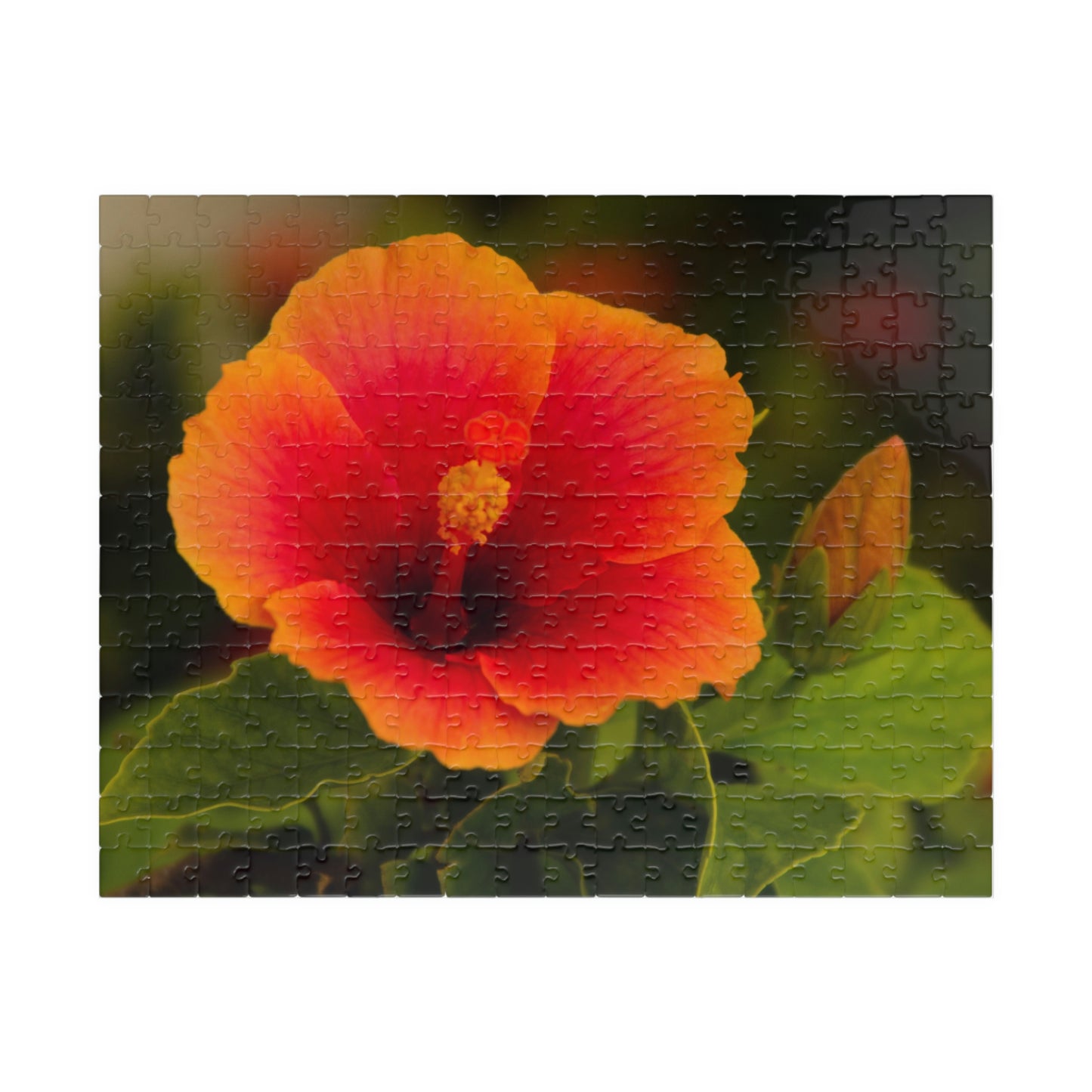 Flowers 31 Puzzle (110, 252, 500, 1014-piece)