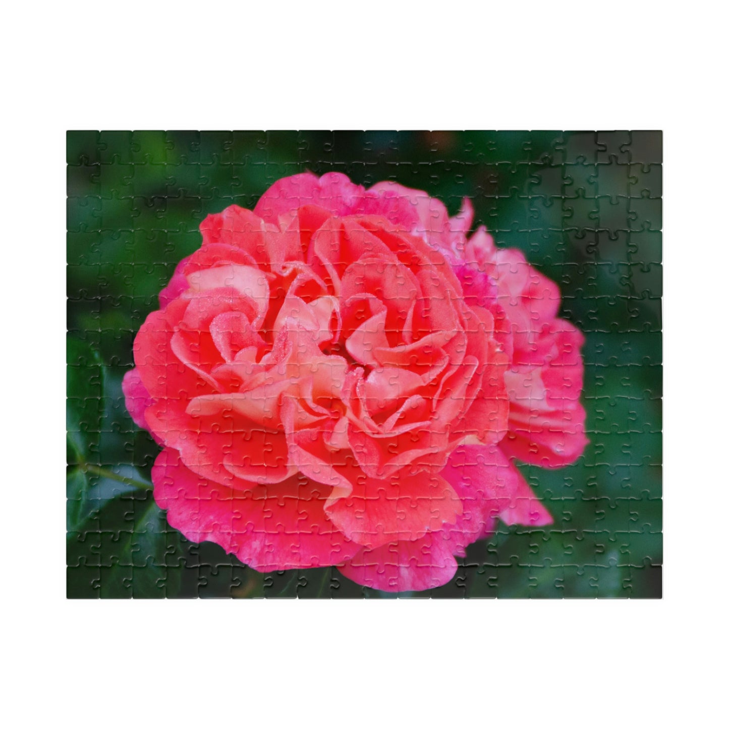 Flowers 08 Puzzle (110, 252, 500, 1014-piece)