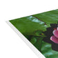 Flowers 25 Greeting Card Bundles (envelopes not included)