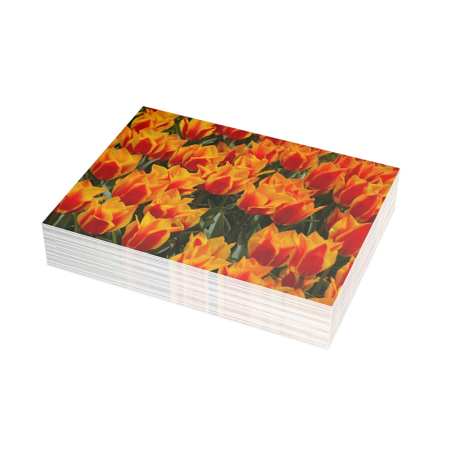 Flowers 19 Greeting Card Bundles (envelopes not included)