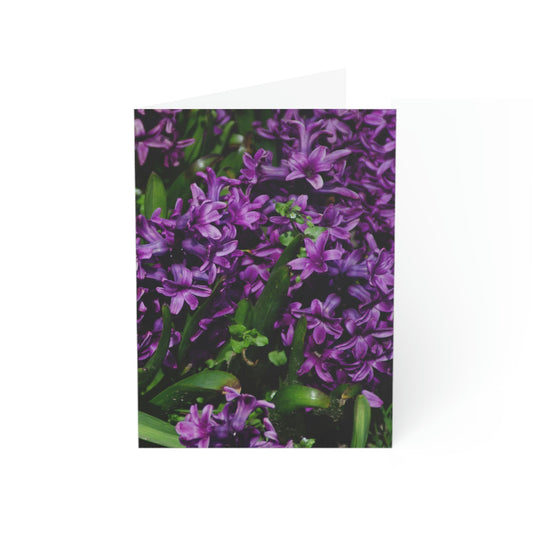 Flowers 21 Greeting Cards (1, 10, 30, and 50pcs)
