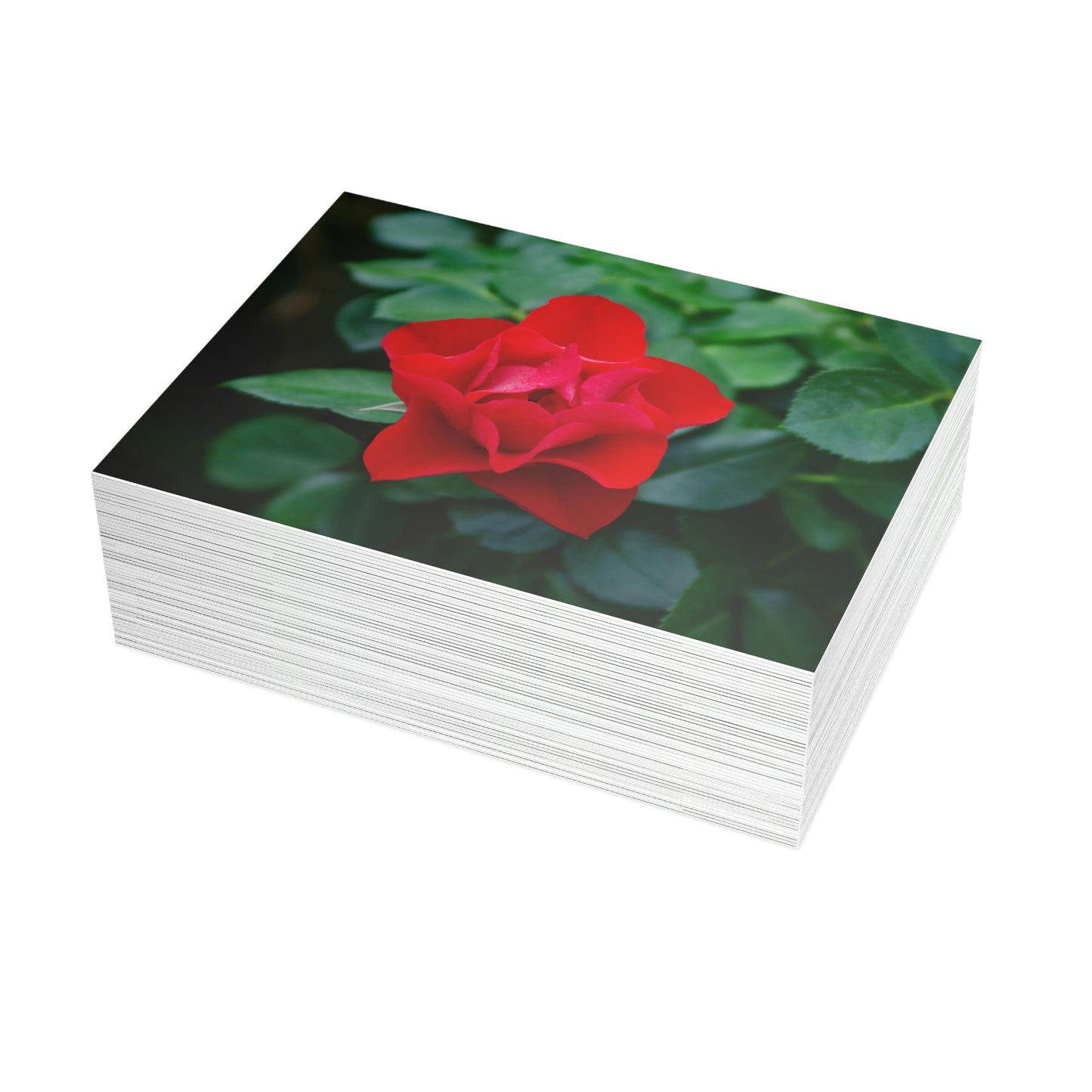 Flowers 06 Greeting Card Bundles (envelopes not included)