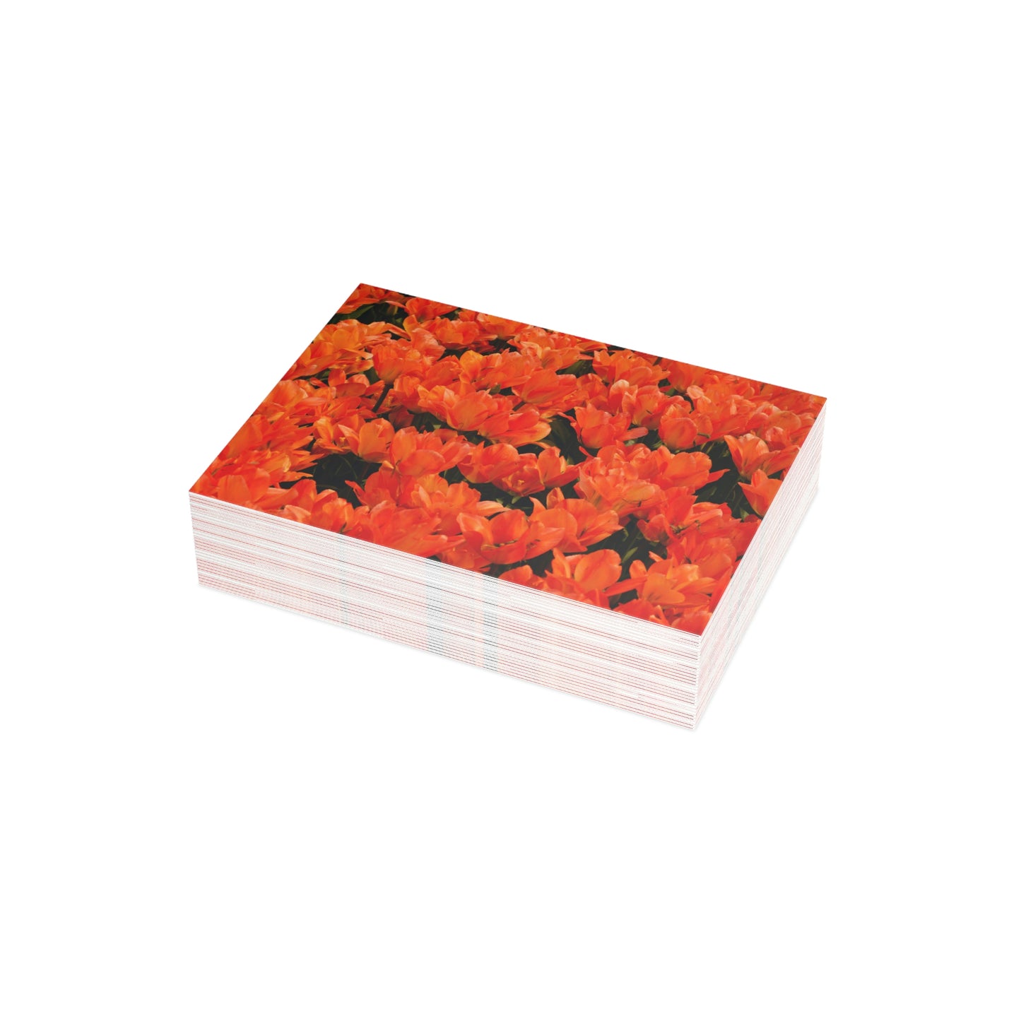 Flowers 02 Greeting Card Bundles (envelopes not included)