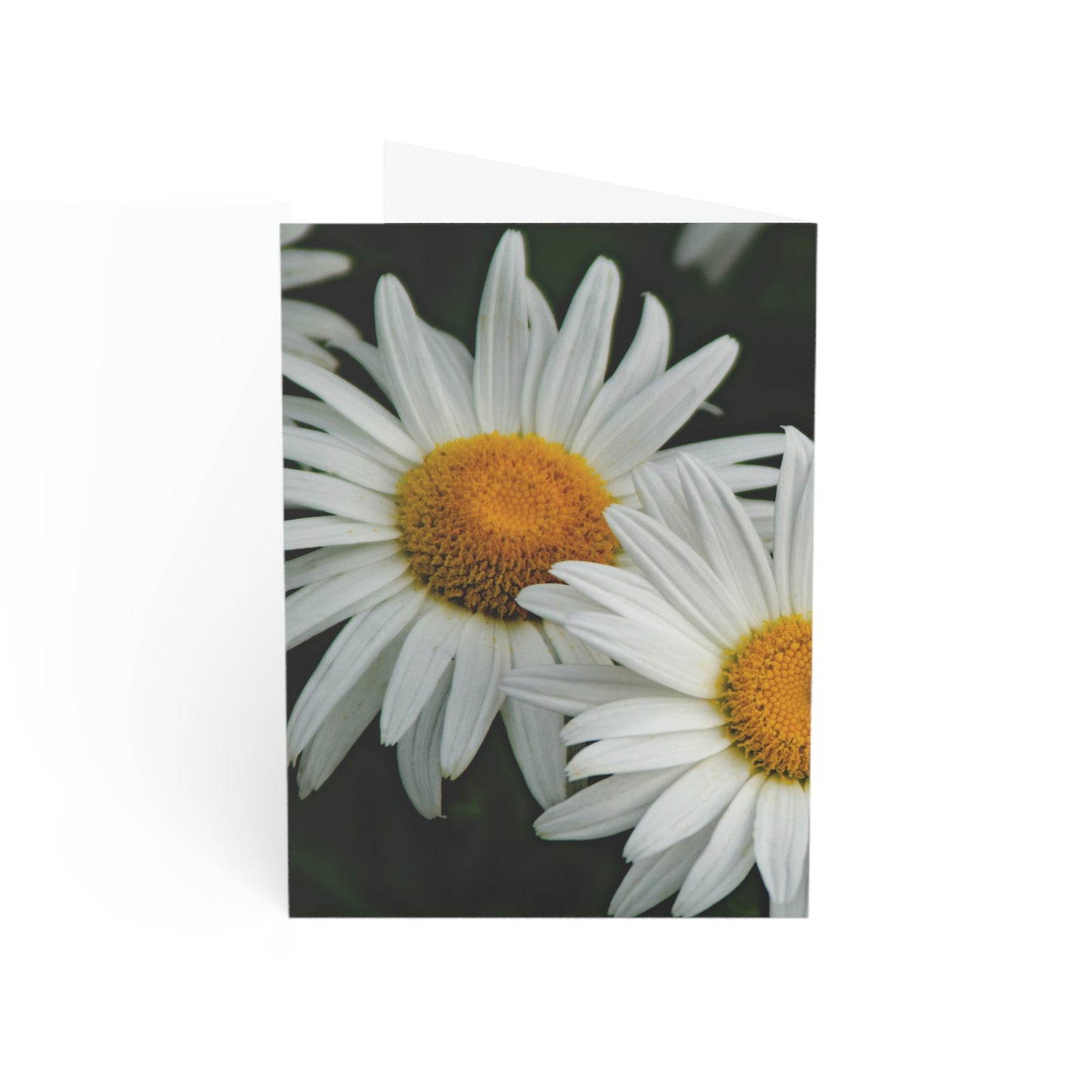 Flowers 01 Greeting Cards (1, 10, 30, and 50pcs)