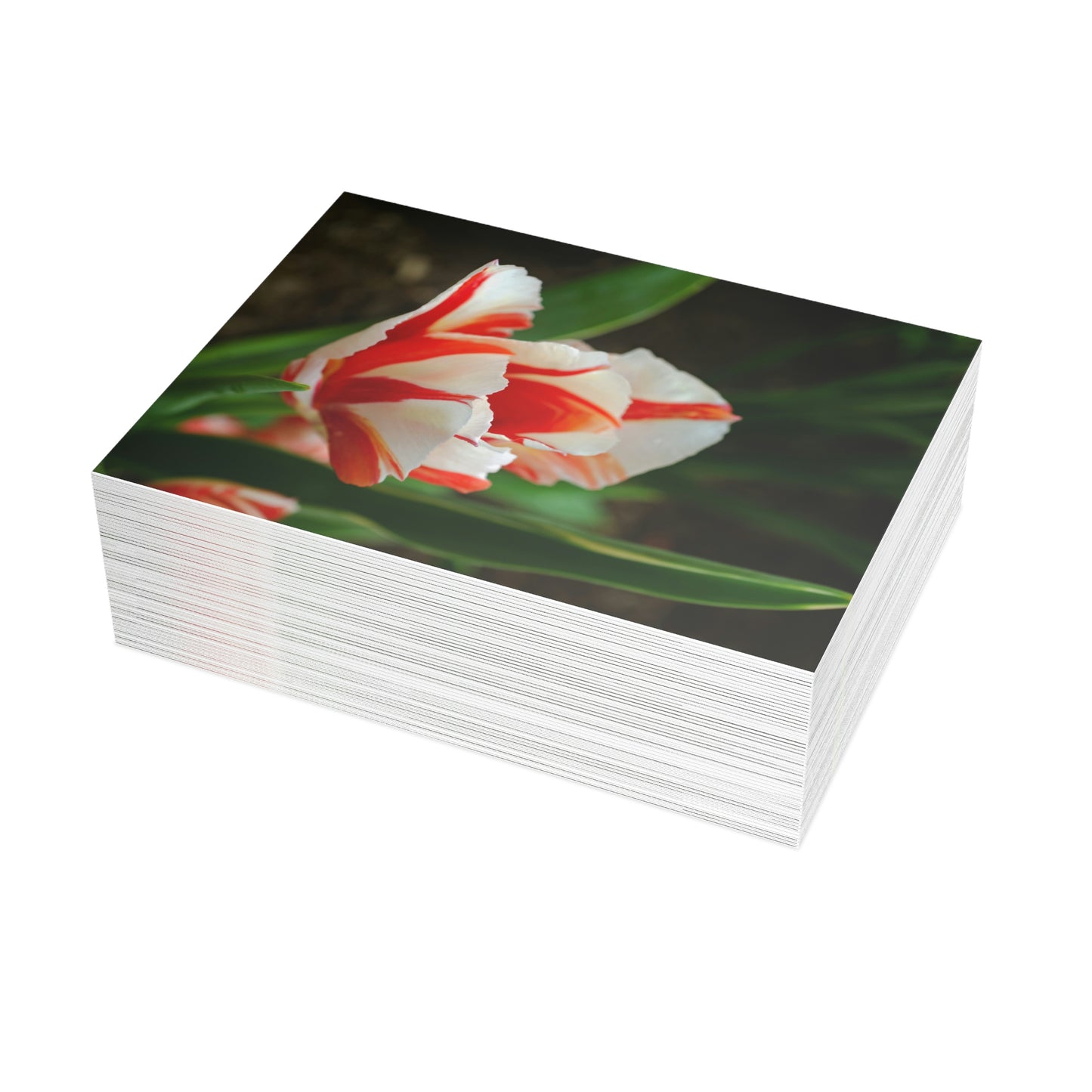 Flowers 04 Greeting Card Bundles (envelopes not included)
