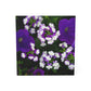 Flowers 05 Note Cube