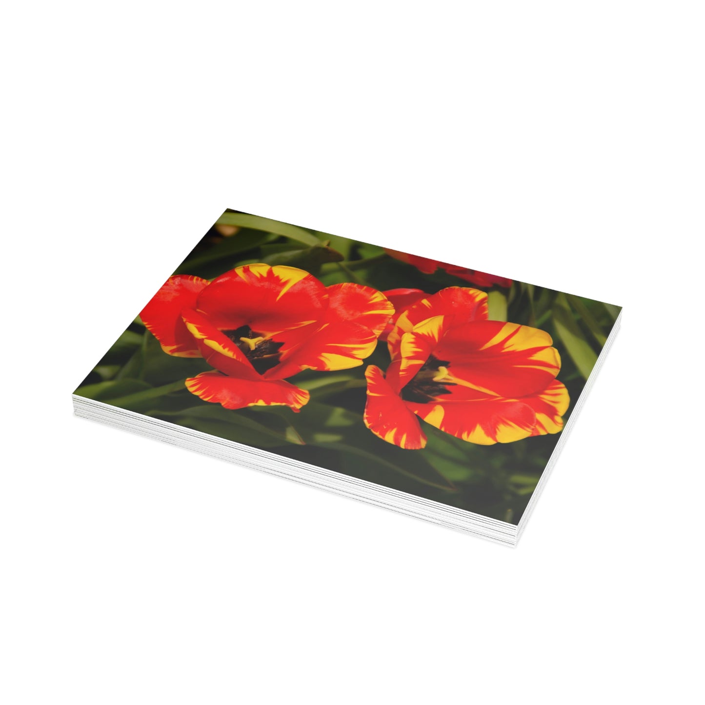 Flowers 12 Greeting Card Bundles (envelopes not included)