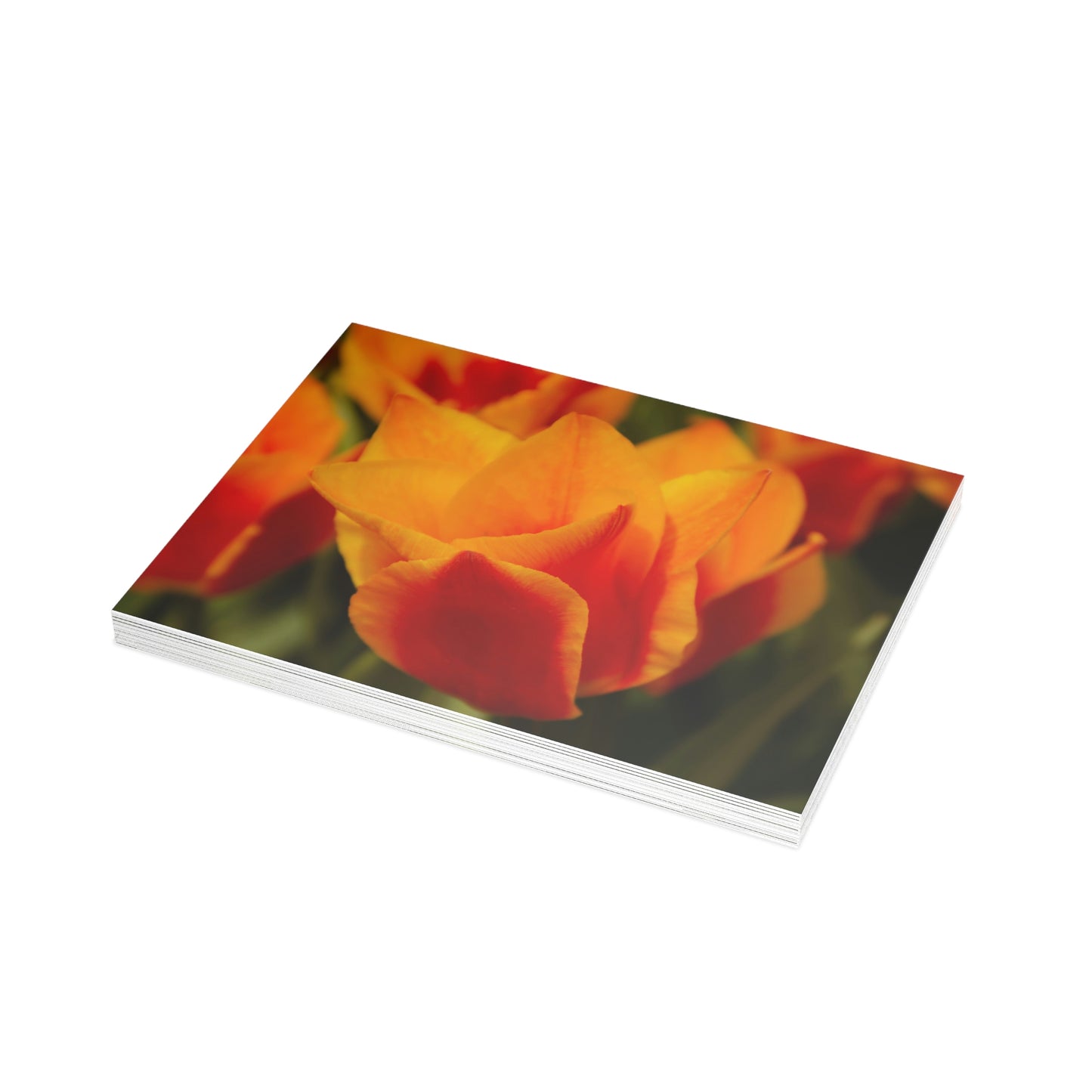 Flowers 13 Greeting Card Bundles (envelopes not included)