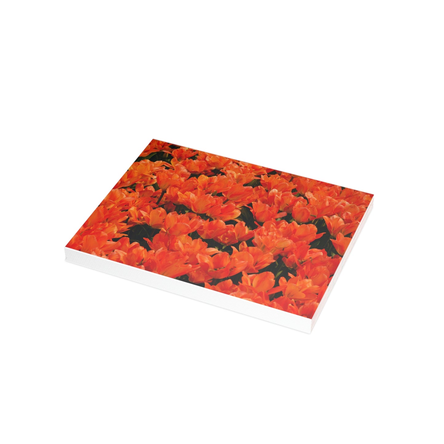 Flowers 02 Greeting Card Bundles (envelopes not included)