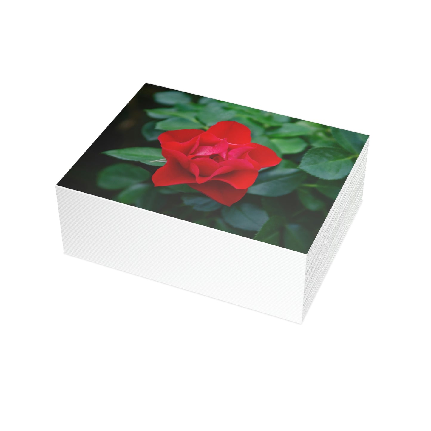 Flowers 06 Greeting Card Bundles (envelopes not included)