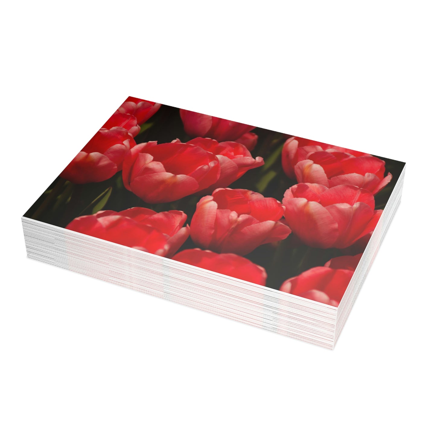 Flowers 09 Greeting Card Bundles (envelopes not included)