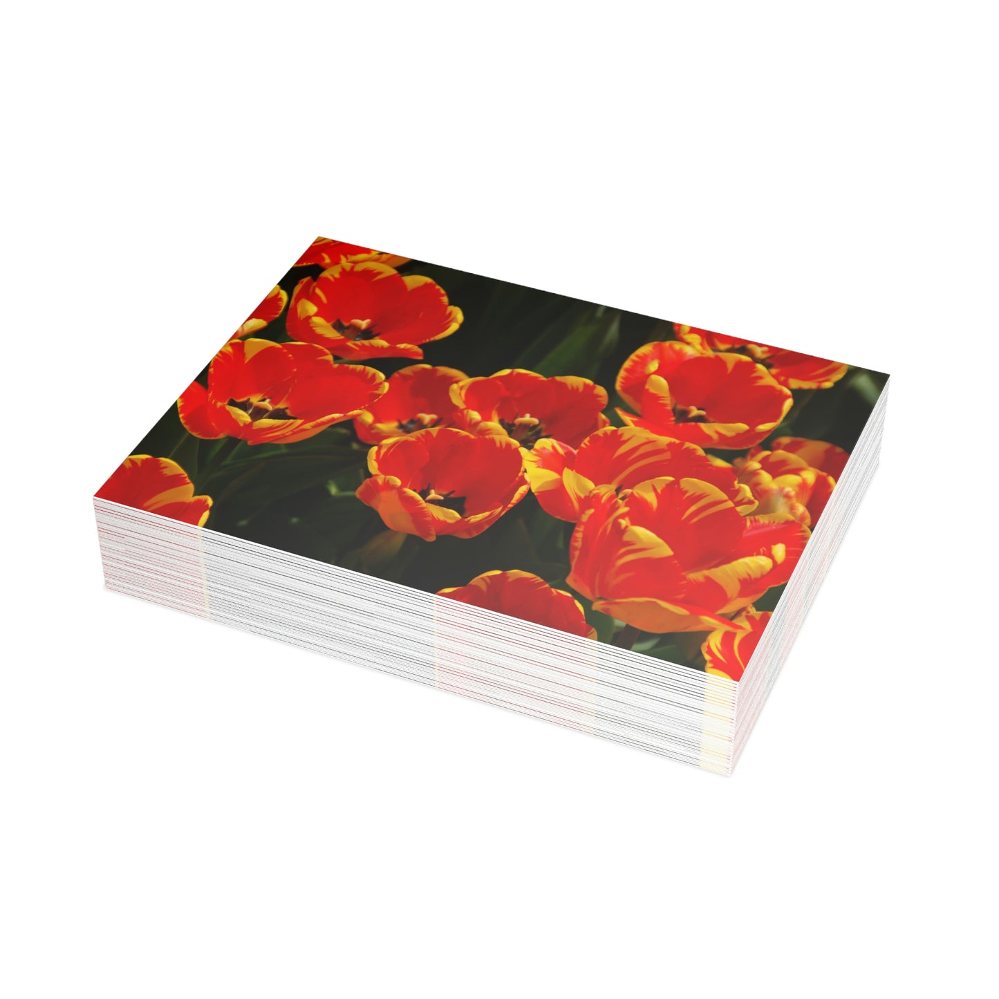 Flowers 20 Greeting Card Bundles (envelopes not included)