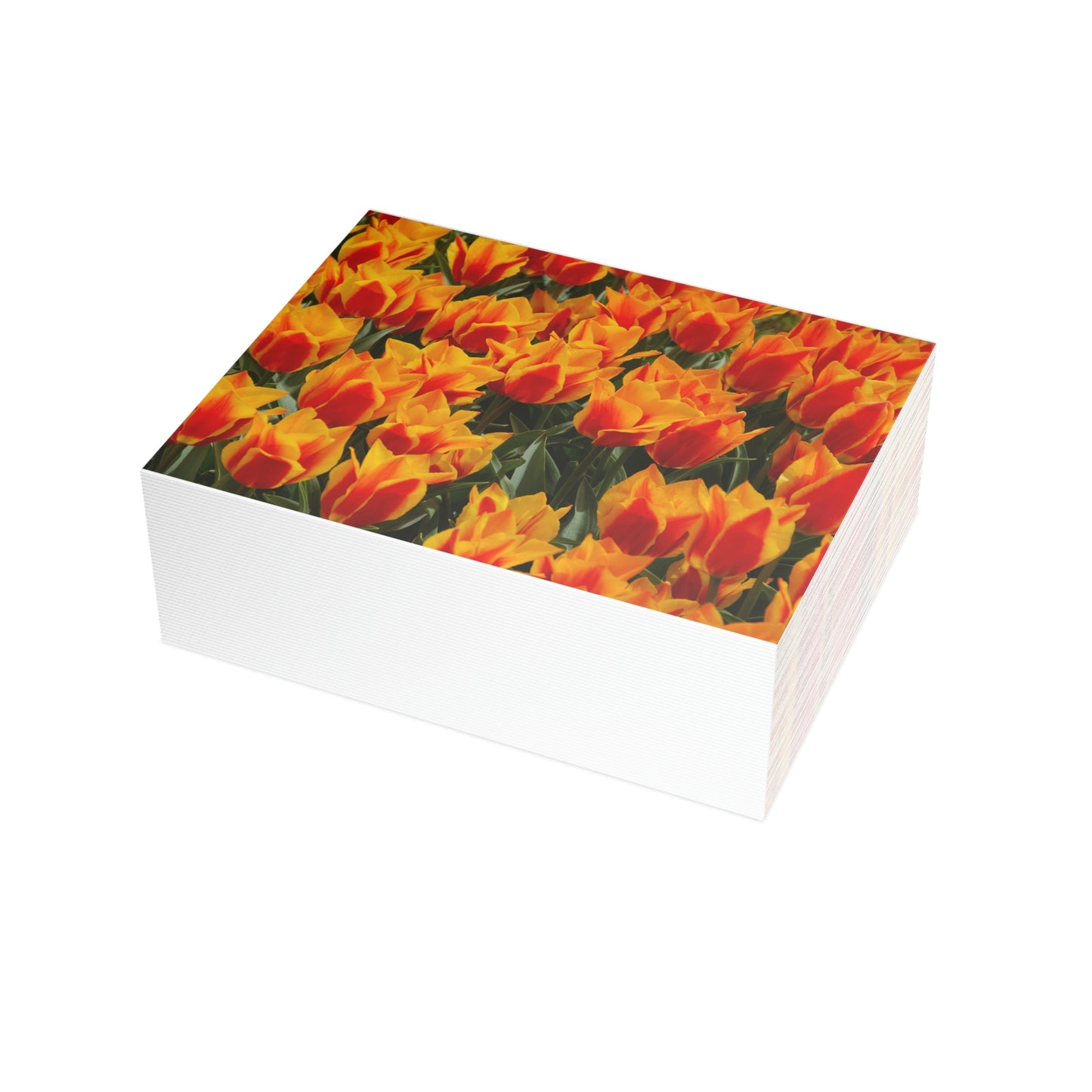 Flowers 19 Greeting Card Bundles (envelopes not included)