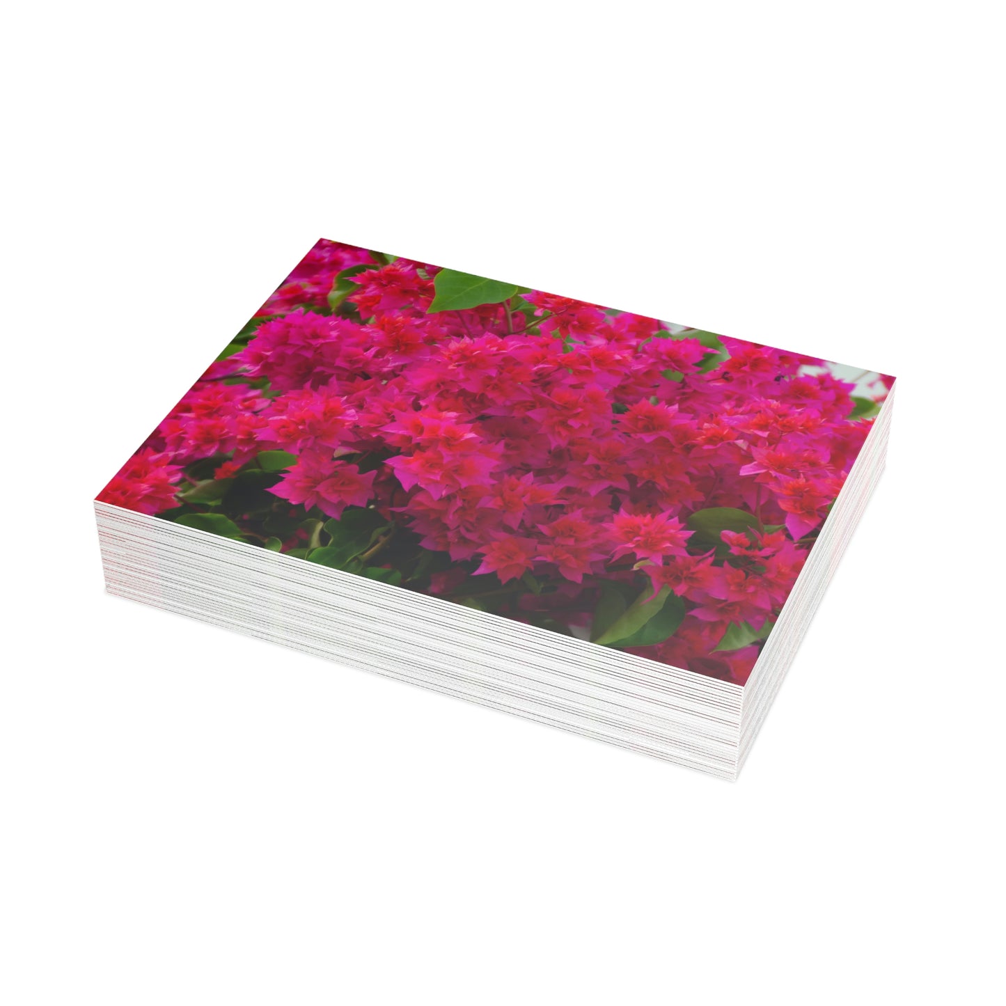 Flowers 28 Greeting Card Bundles (envelopes not included)