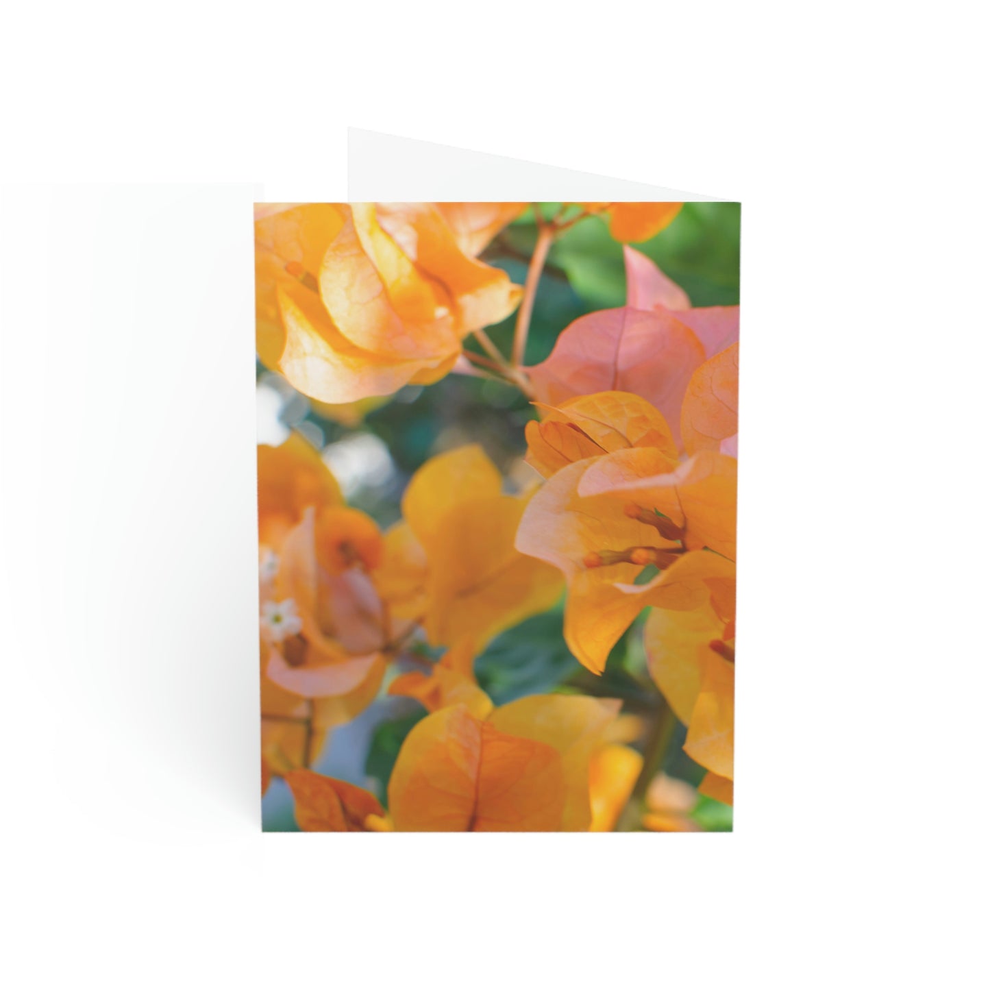 Flowers 29 Greeting Cards (1, 10, 30, and 50pcs)