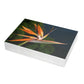 Flowers 26 Greeting Card Bundles (envelopes not included)