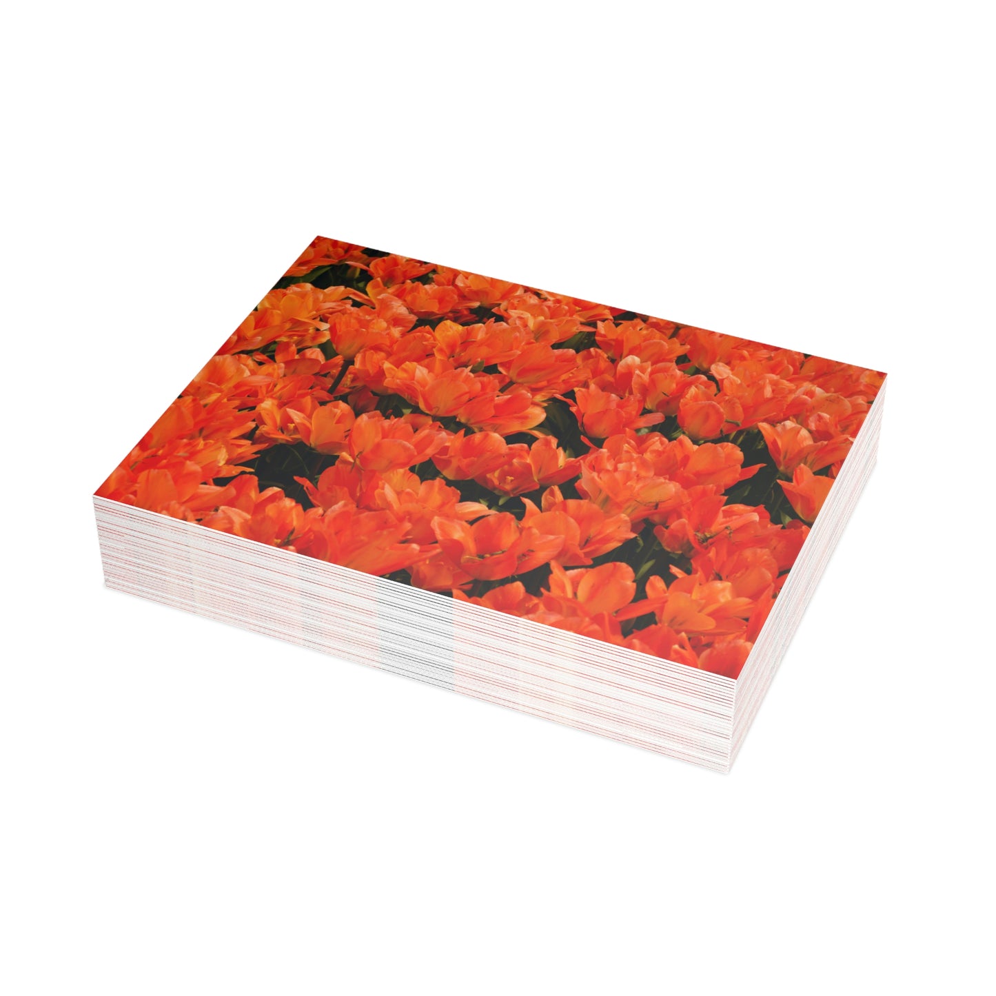 Flowers 02 Greeting Card Bundles (envelopes not included)