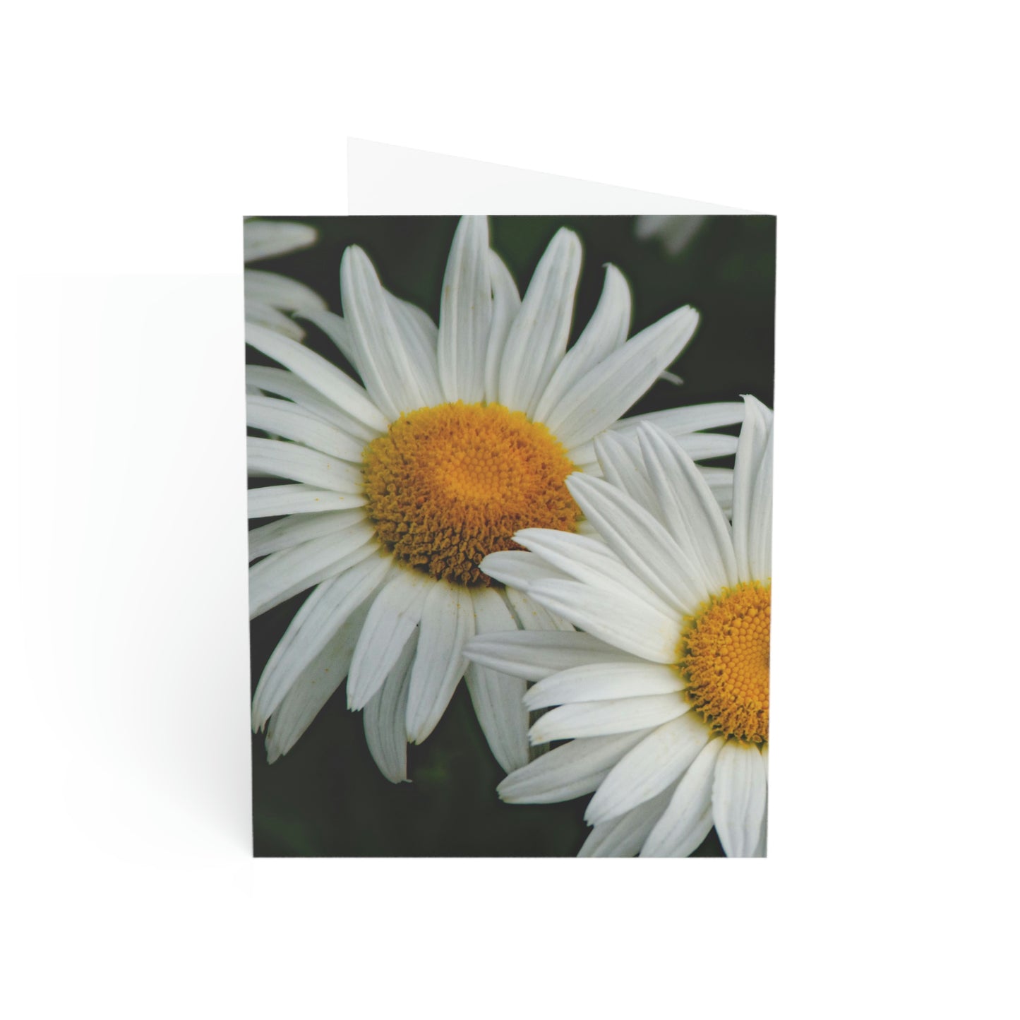 Flowers 01 Greeting Cards (1, 10, 30, and 50pcs)