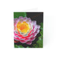 Flowers 25 Greeting Cards (1, 10, 30, and 50pcs)