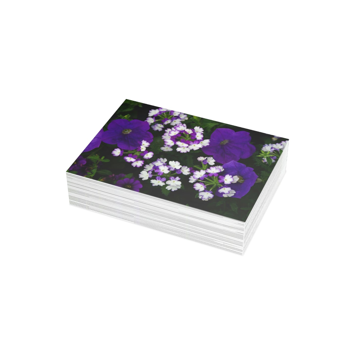 Flowers 03 Greeting Card Bundles (envelopes not included)