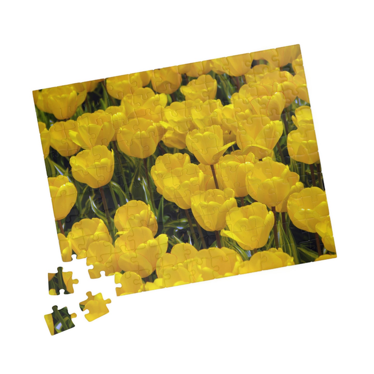 Flowers 23 Puzzle (110, 252, 500, 1014-piece)