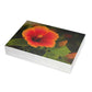 Flowers 31 Greeting Card Bundles (envelopes not included)