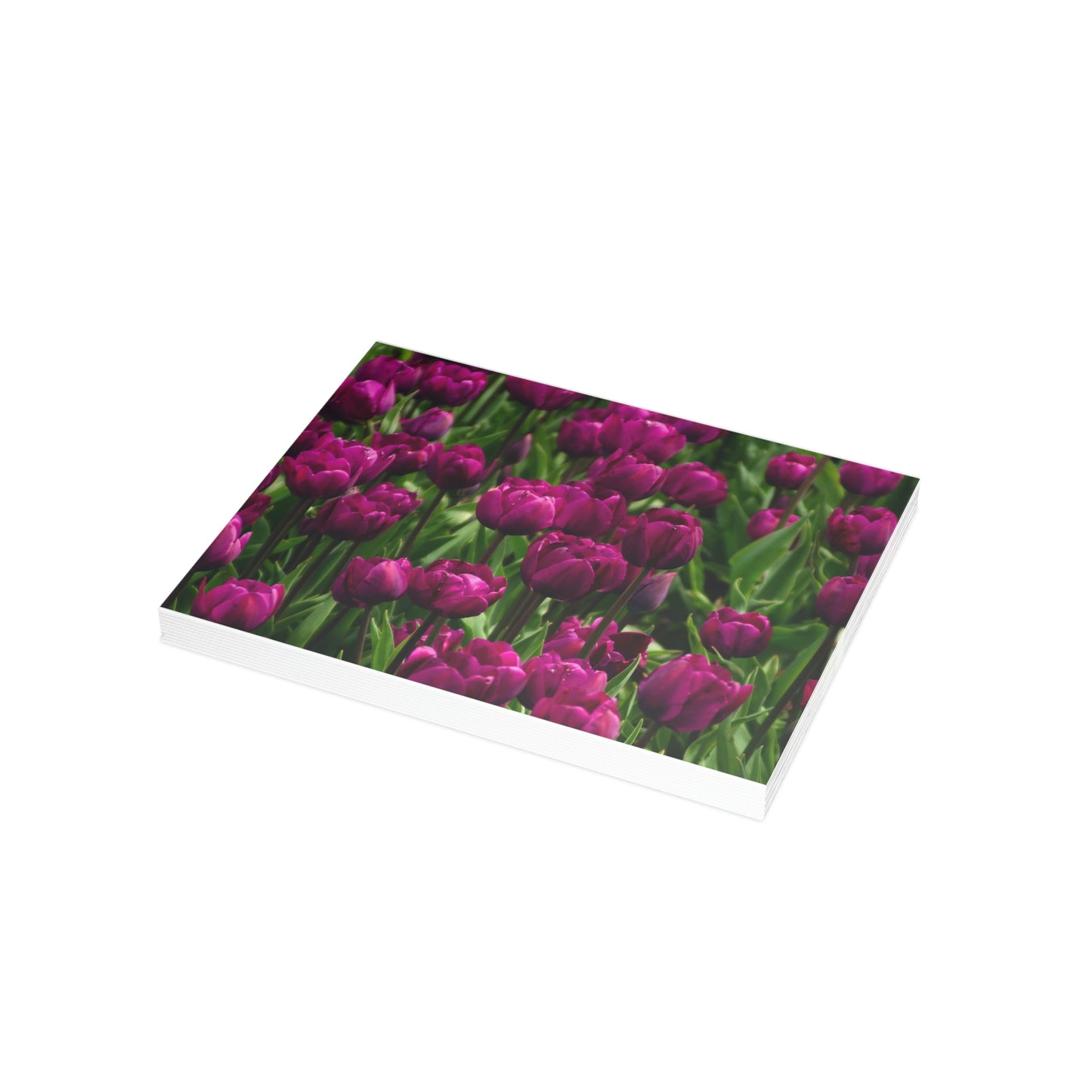 Flowers 18 Greeting Card Bundles (envelopes not included)