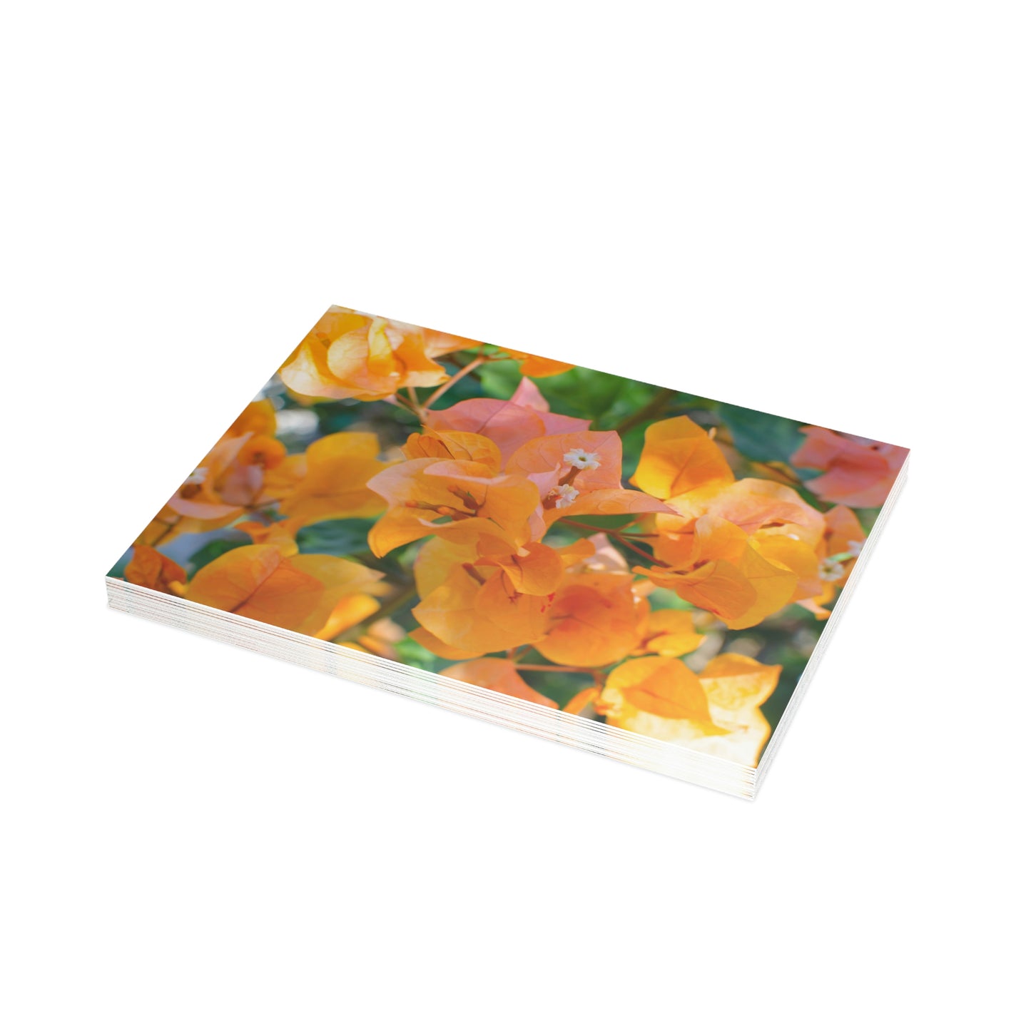 Flowers 29 Greeting Card Bundles (envelopes not included)