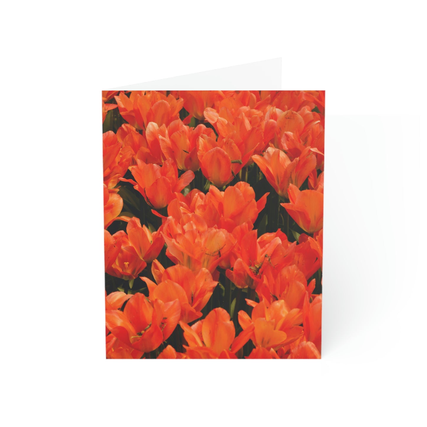 Flowers 03 Greeting Cards (1, 10, 30, and 50pcs)