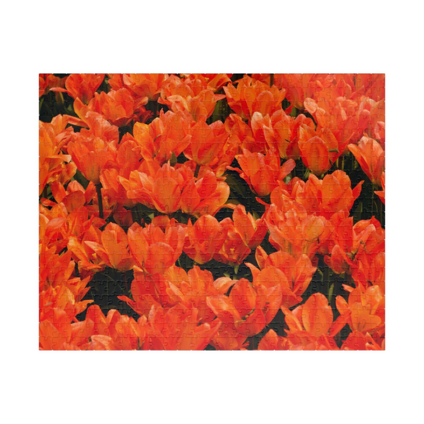 Flowers 03 Puzzle (110, 252, 500, 1014-piece)