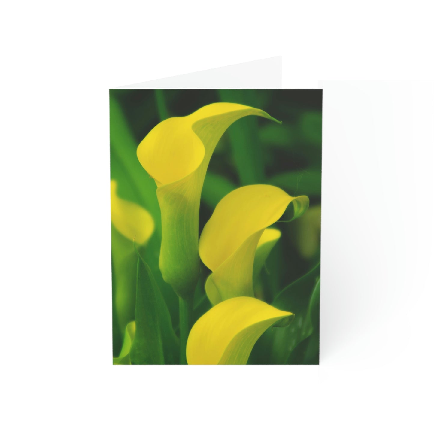 Flowers 33 Greeting Cards (1, 10, 30, and 50pcs)