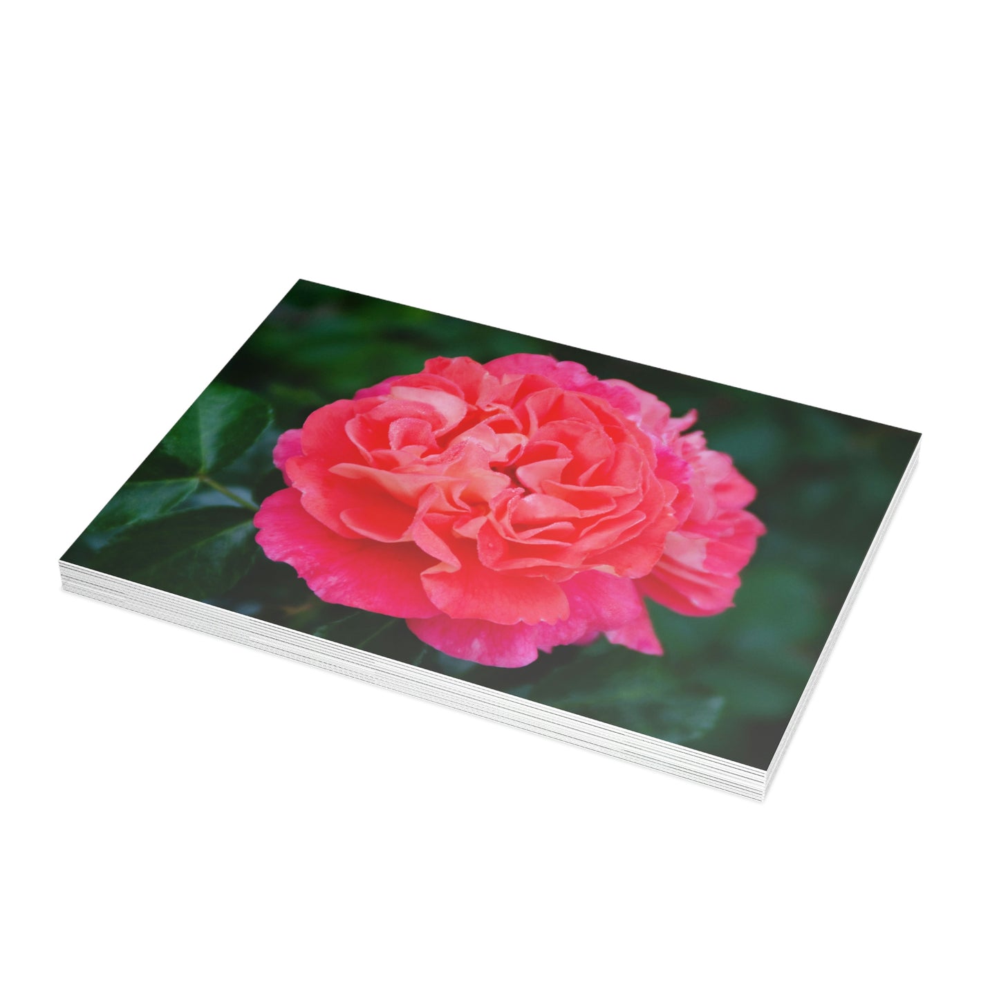 Flowers 08 Greeting Card Bundles (envelopes not included)