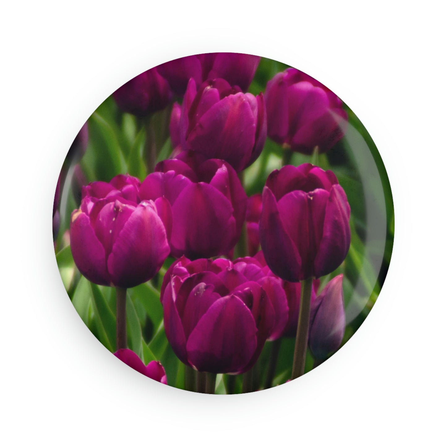 Flowers 20 Button Magnet, Round (1 & 10 pcs)