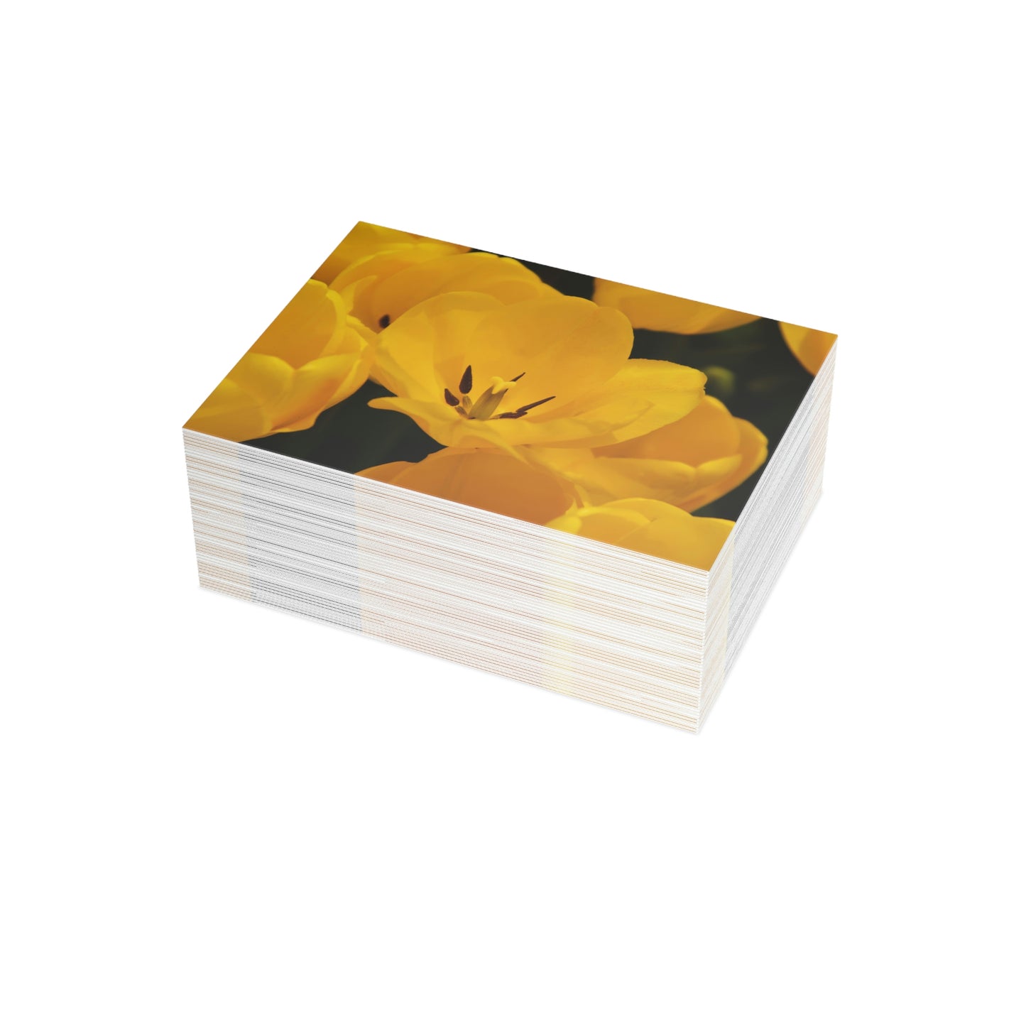 Flowers 16 Greeting Card Bundles (envelopes not included)