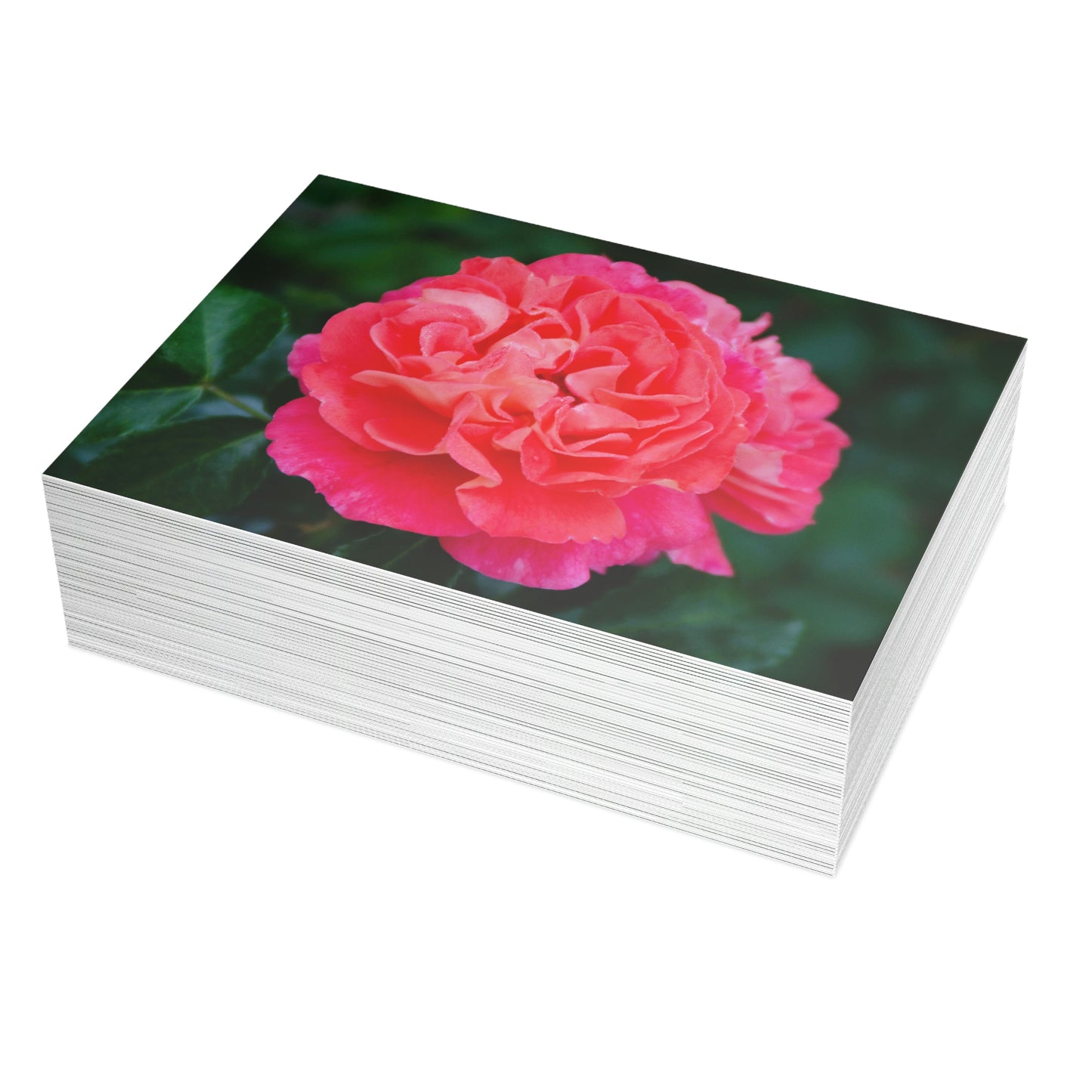 Flowers 08 Greeting Card Bundles (envelopes not included)