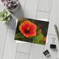 Flowers 31 Greeting Card Bundles (envelopes not included)