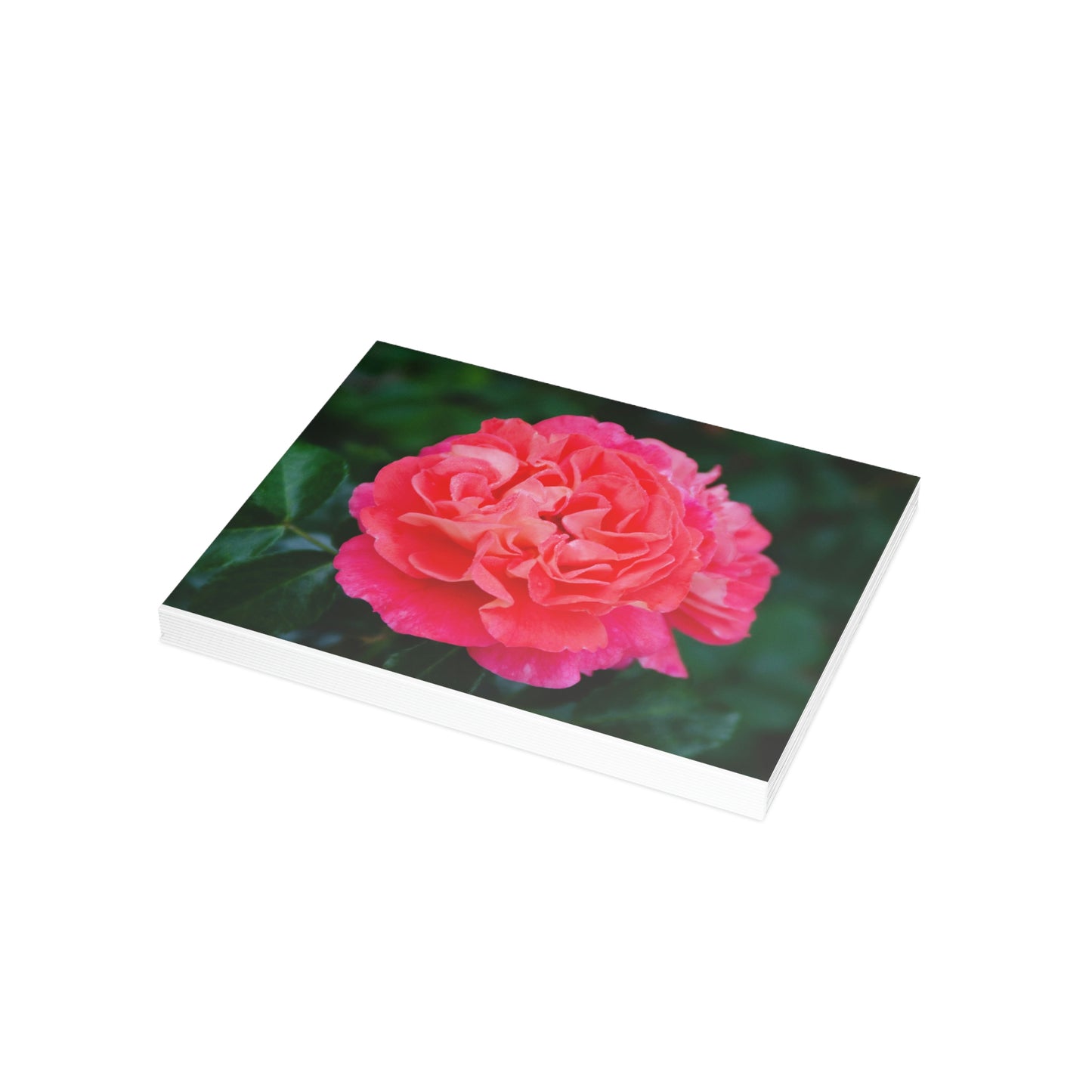 Flowers 08 Greeting Card Bundles (envelopes not included)